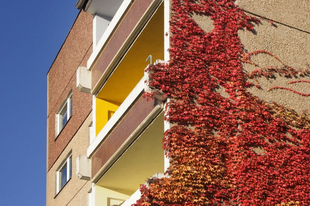 Besser als sein Ruf: Sozialwohnungen in der Leipziger "Platte"